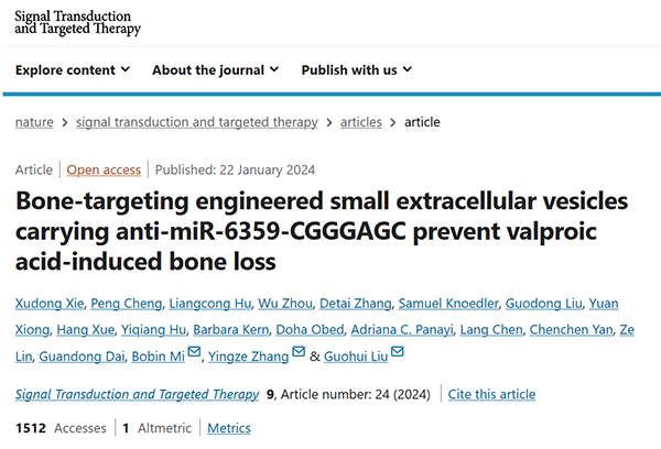 Bone-targeting engineered small extracellular vesicles carrying anti-miR-6359-CGGGAGC prevent valproic acid-induced bone loss