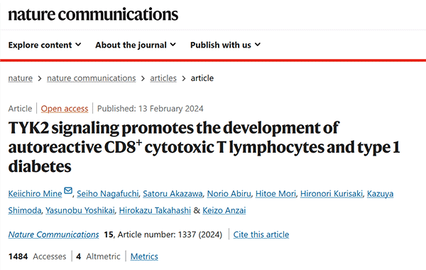 TYK2 signaling promotes the development of autoreactive CD8+ cytotoxic T lymphocytes and type 1 diabetes