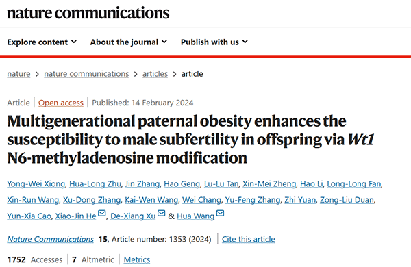 Multigenerational paternal obesity enhances the susceptibility to male subfertility in offspring via Wt1 N6-methyladenosine modification