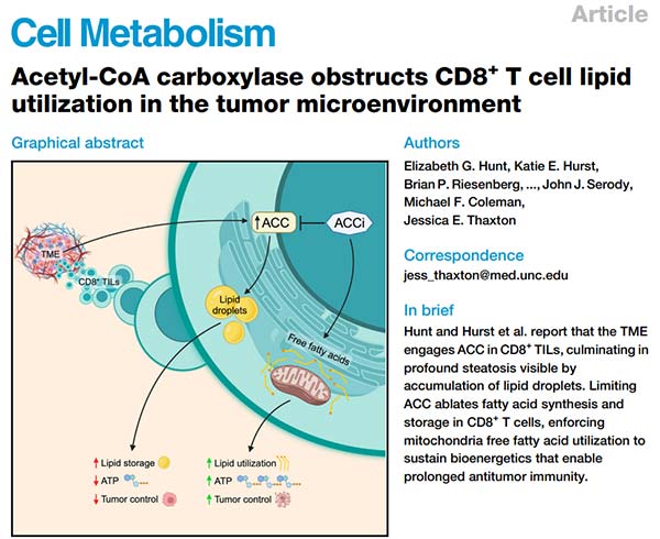 Acetyl-CoA carboxylase obstructs CD8+ T cell lipid utilization in the tumor microenvironment