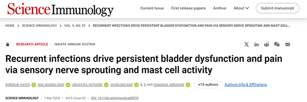 Recurrent infections drive persistent bladder dysfunction and pain via sensory nerve sprouting and mast cell activity