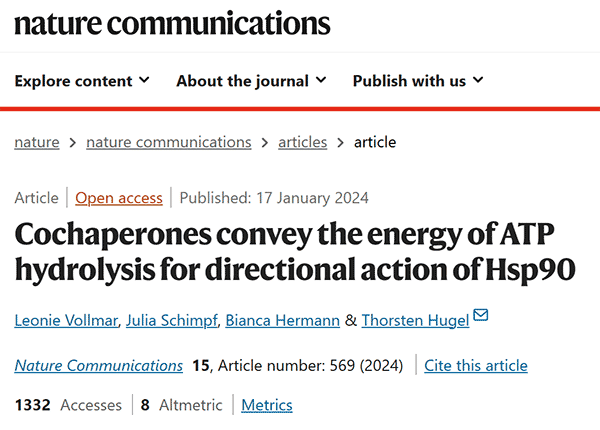 Cochaperones convey the energy of ATP hydrolysis for directional action of Hsp90