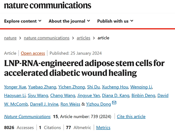 LNP-RNA-engineered adipose stem cells for accelerated diabetic wound healing