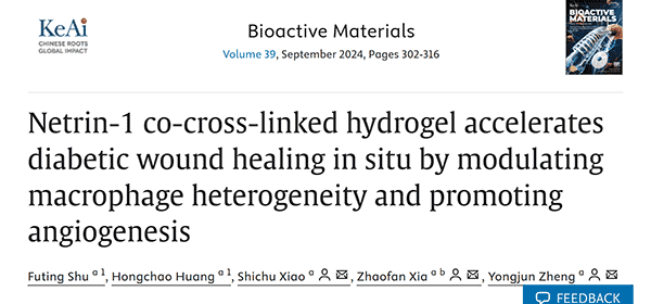 Netrin-1 co-cross-linked hydrogel accelerates diabetic wound healing in situ by modulating macrophage heterogeneity and promoting angiogenesis