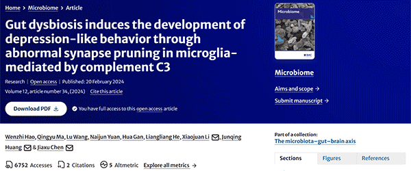 Gut dysbiosis induces the development of depression-like behavior through abnormal synapse pruning in microglia-mediated by complement C3