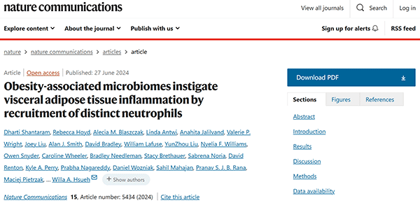 Gender affirming hormone therapy preserves skeletal maturation in young mice via the gut microbiome