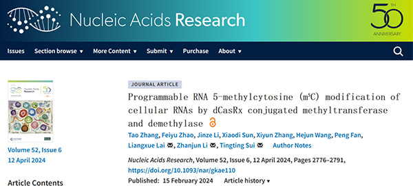 Programmable RNA 5-methylcytosine (m5C) modification of cellular RNAs by dCasRx conjugated methyltransferase and demethylase