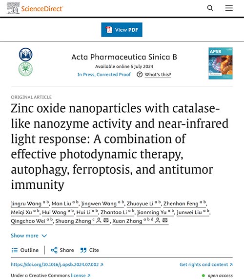 Zinc oxide nanoparticles with catalase-like nanozyme activity and near-infrared light response: A combination of effective photodynamic therapy, autophagy, ferroptosis, and antitumor immunity