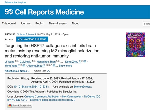 Targeting the HSP47-collagen axis inhibits brain metastasis by reversing M2 microglial polarization and restoring anti-tumor immunity