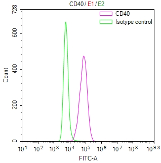 CSB-RA004936MA1HU FC