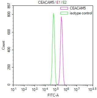 CSB-RA006163MA1HU FC