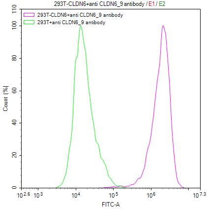 RA005508MA1HU FC