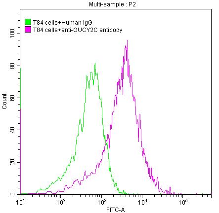 CSB-RA010053A3HU FC