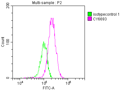 CSB-RA303909A0HU