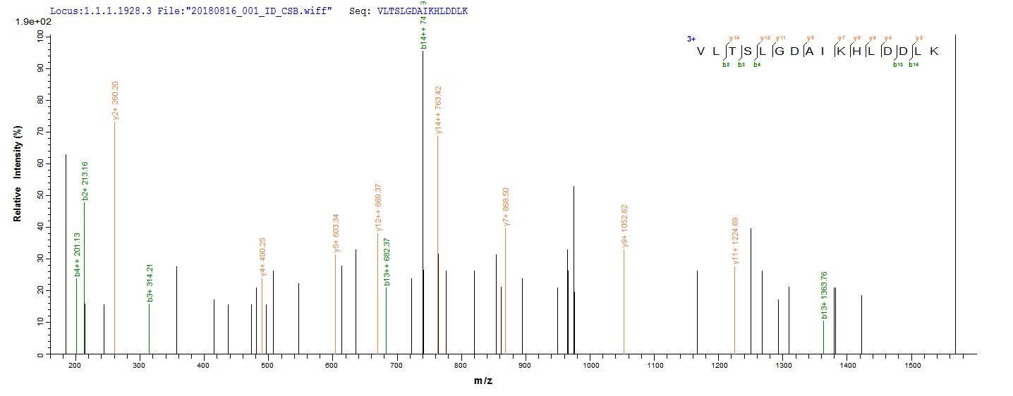 CSB-EP010156HUa1 LC-MS-1