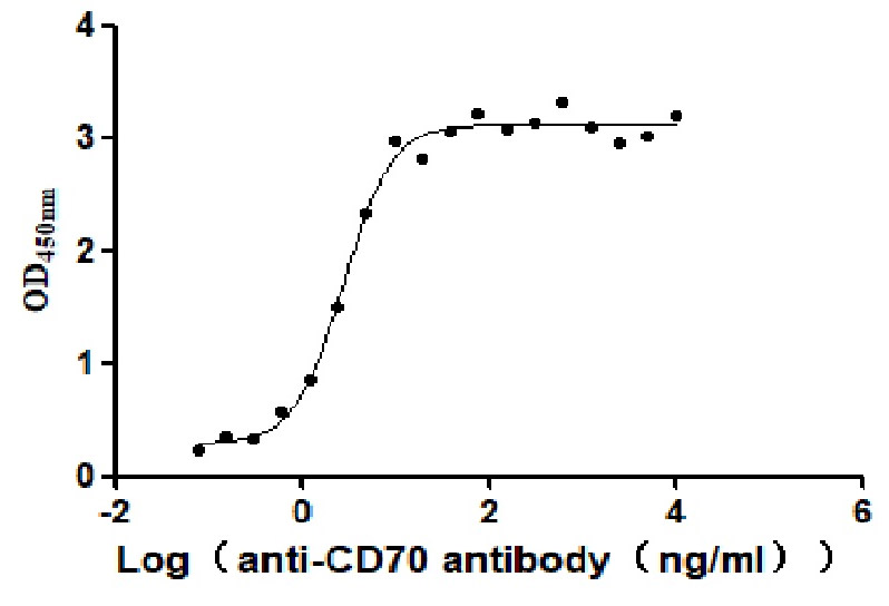 CSB-MP004954HU1 ELISA