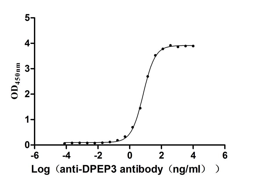 CSB-MP007125HU Activity Verified