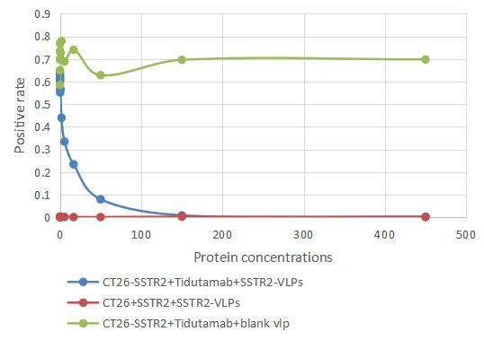 CSB-MP005678HU FC