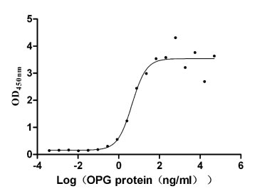 High Purity Validated of CSB-MP023969HU