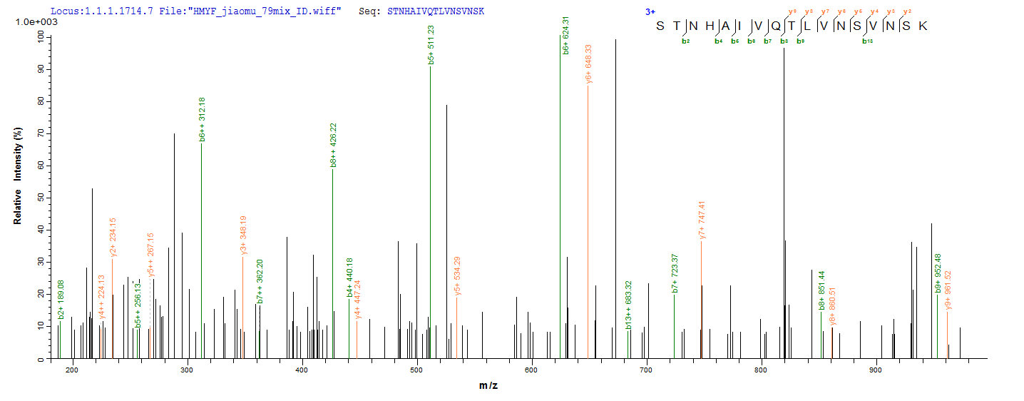 CSB-EP002736HU