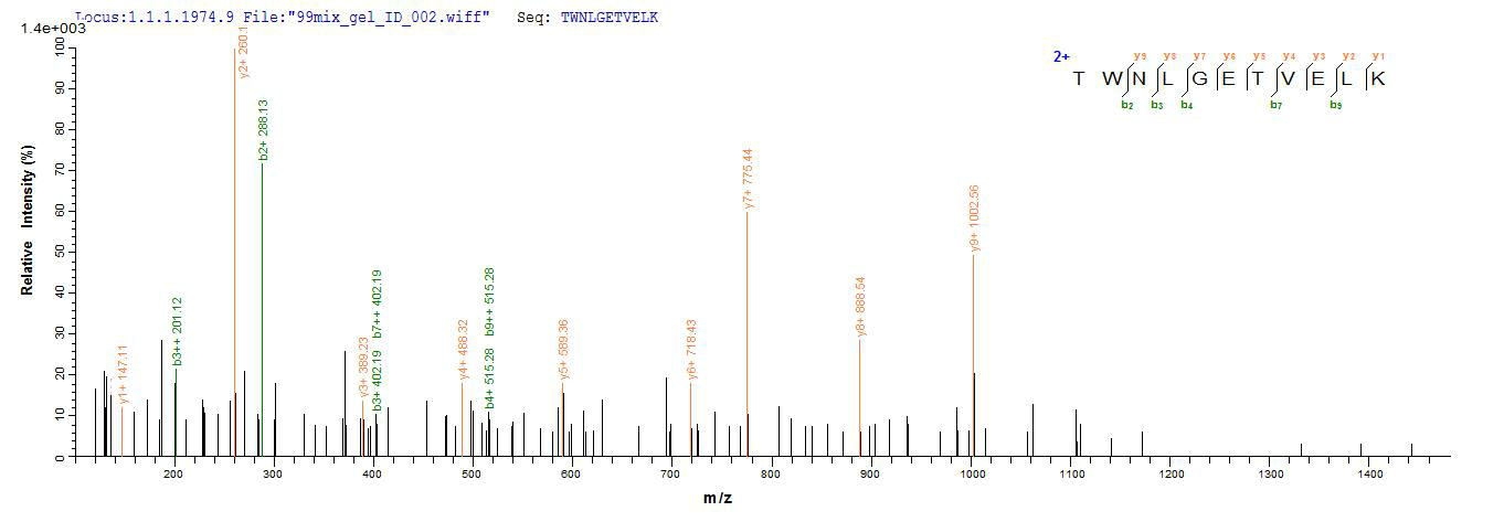 CSB-YP004966HU