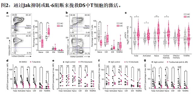 通過Jak抑制或IL-6阻斷來挽救DS中T細胞的激活