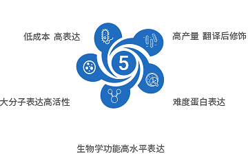 5大蛋白表達系統(tǒng)